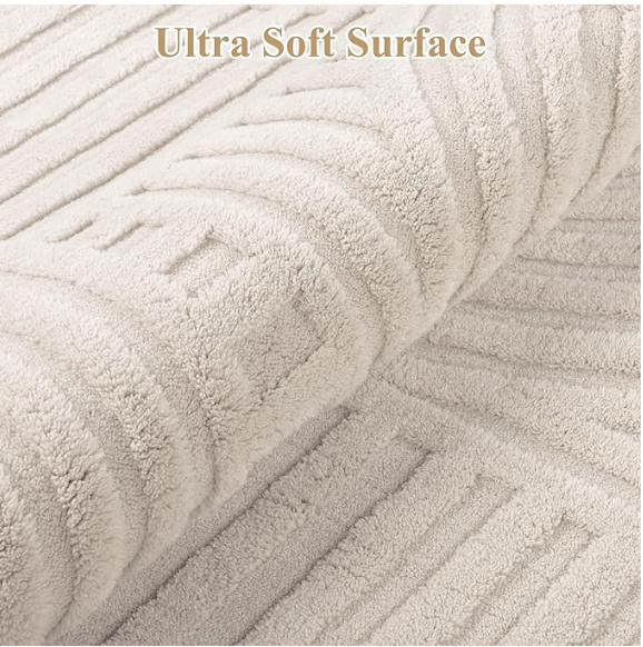 Z **SOLD** Pauwer 8x10 Washable Area Rugs for Living Room Modern Beige Solid Color Soft Fluffy Rug - Image 2