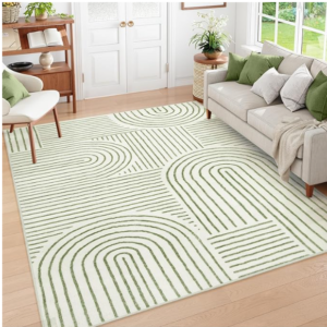 Z **SOLD** Lahome Abstract 6x9 Area Rugs, Soft Boho Rug, Thin Non Slip Boho Green Washable
